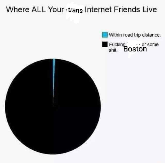 A pie chart of where all you trans Internet friends live

According to the legend, a miniscule sliver is dedicated to friends within road trip distance. 
The vast majority are in quote, fucking Boston or some shit